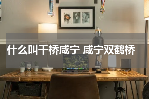 什么叫千桥咸宁 咸宁双鹤桥