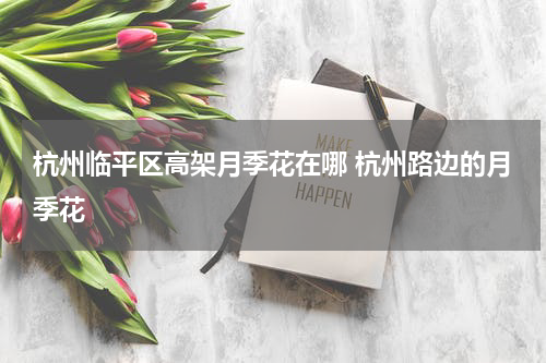 杭州临平区高架月季花在哪 杭州路边的月季花