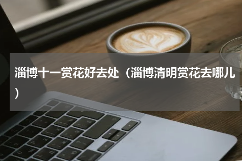 淄博十一赏花好去处（淄博清明赏花去哪儿）