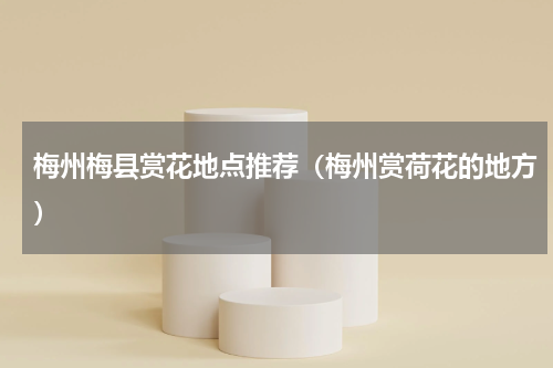 梅州梅县赏花地点推荐（梅州赏荷花的地方）