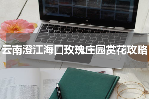 云南澄江海口玫瑰庄园赏花攻略