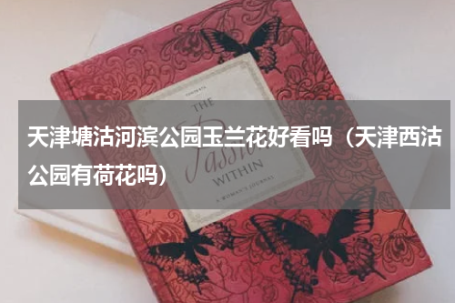 天津塘沽河滨公园玉兰花好看吗（天津西沽公园有荷花吗）