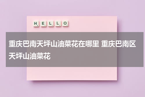 重庆巴南天坪山油菜花在哪里 重庆巴南区天坪山油菜花