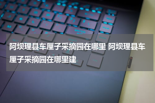 阿坝理县车厘子采摘园在哪里 阿坝理县车厘子采摘园在哪里建