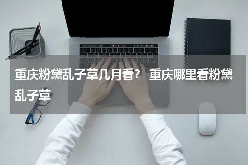 重庆粉黛乱子草几月看？ 重庆哪里看粉黛乱子草