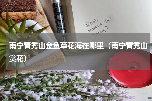 南宁青秀山金鱼草花海在哪里（南宁青秀山赏花）