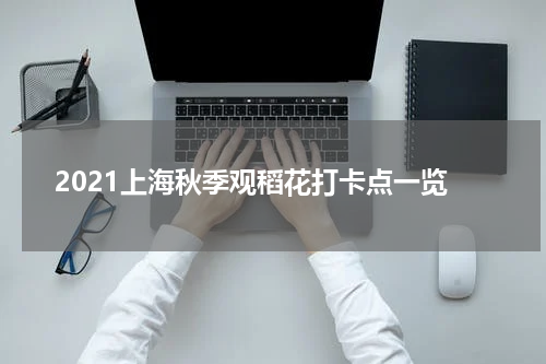 2021上海秋季观稻花打卡点一览