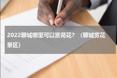 2022聊城哪里可以赏荷花？（聊城赏花景区）