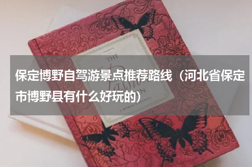 保定博野自驾游景点推荐路线（河北省保定市博野县有什么好玩的）