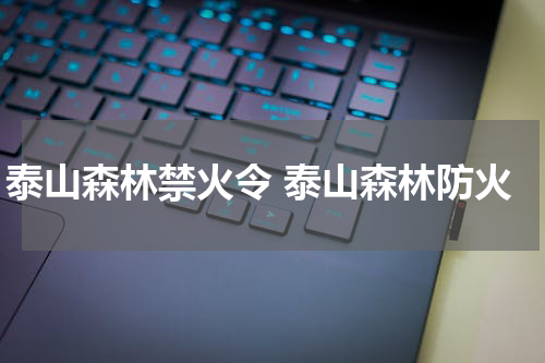 泰山森林禁火令 泰山森林防火
