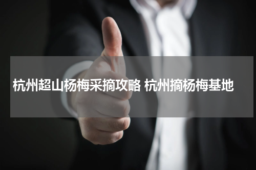 杭州超山杨梅采摘攻略 杭州摘杨梅基地