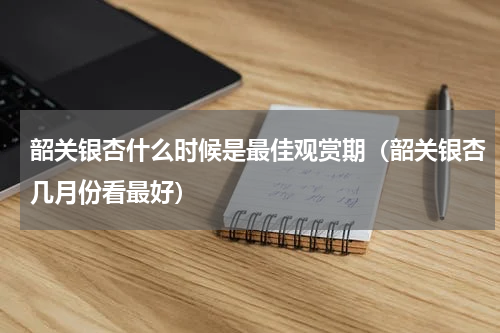 韶关银杏什么时候是最佳观赏期（韶关银杏几月份看最好）