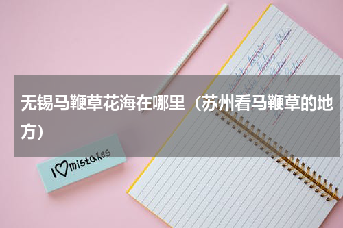 无锡马鞭草花海在哪里（苏州看马鞭草的地方）