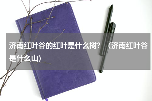 济南红叶谷的红叶是什么树？（济南红叶谷是什么山）