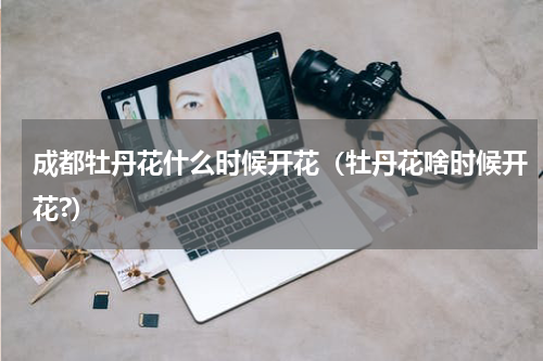 成都牡丹花什么时候开花（牡丹花啥时候开花?）