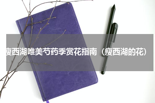 瘦西湖唯美芍药季赏花指南（瘦西湖的花）