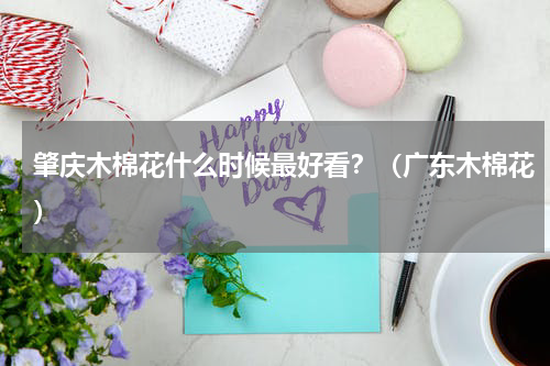 肇庆木棉花什么时候最好看？（广东木棉花）