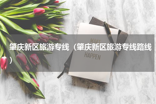 肇庆新区旅游专线（肇庆新区旅游专线路线）