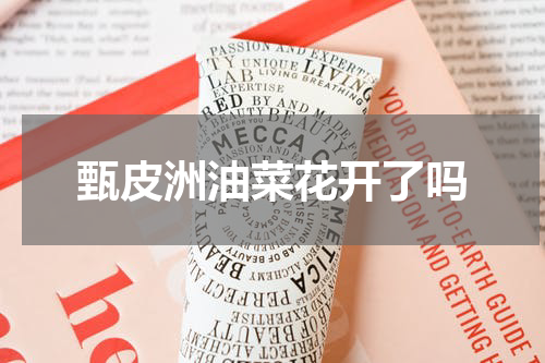 甄皮洲油菜花开了吗