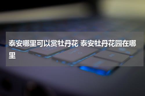 泰安哪里可以赏牡丹花 泰安牡丹花园在哪里