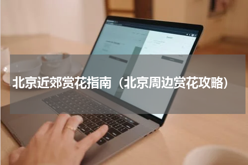 北京近郊赏花指南（北京周边赏花攻略）