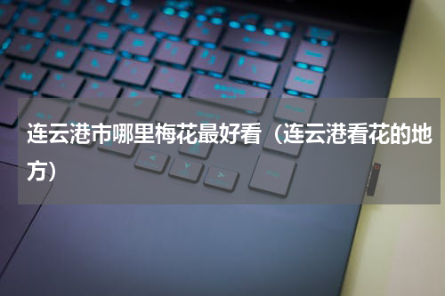 连云港市哪里梅花最好看（连云港看花的地方）