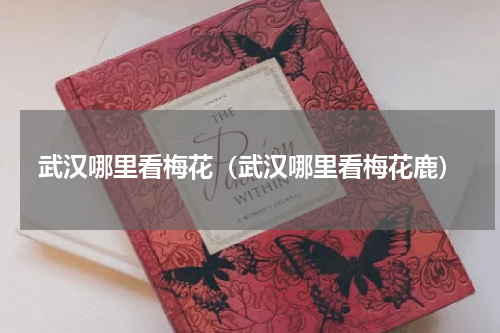 武汉哪里看梅花（武汉哪里看梅花鹿）