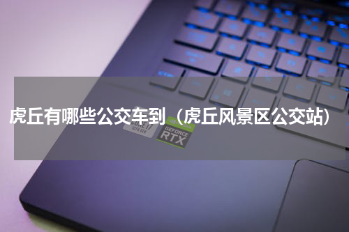 虎丘有哪些公交车到（虎丘风景区公交站）