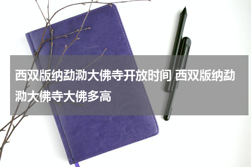 西双版纳勐泐大佛寺开放时间 西双版纳勐泐大佛寺大佛多高