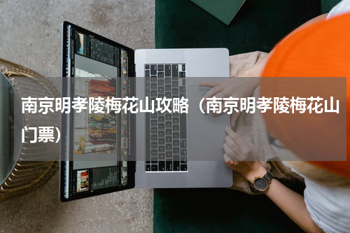 南京明孝陵梅花山攻略（南京明孝陵梅花山门票）