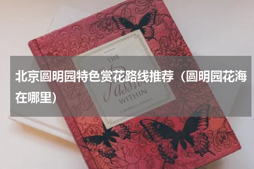 北京圆明园特色赏花路线推荐（圆明园花海在哪里）
