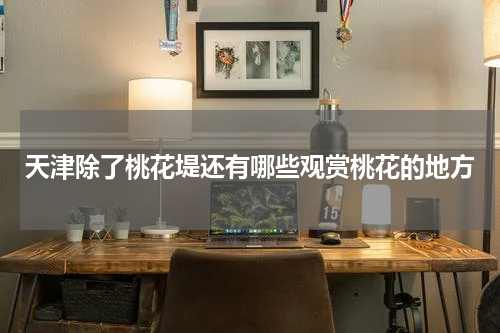 天津除了桃花堤还有哪些观赏桃花的地方