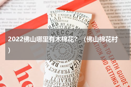 2022佛山哪里有木棉花？（佛山棉花村）