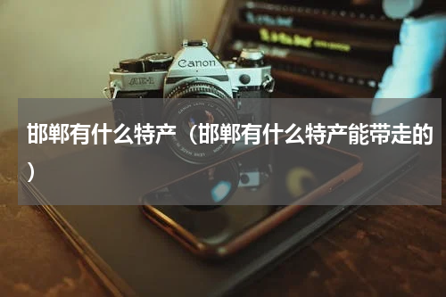 邯郸有什么特产（邯郸有什么特产能带走的）