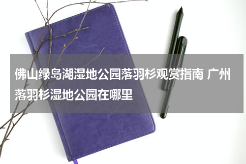 佛山绿岛湖湿地公园落羽杉观赏指南 广州落羽杉湿地公园在哪里