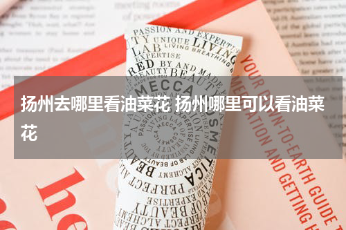 扬州去哪里看油菜花 扬州哪里可以看油菜花