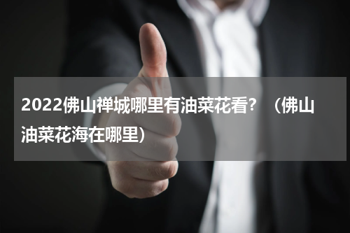 2022佛山禅城哪里有油菜花看？（佛山油菜花海在哪里）