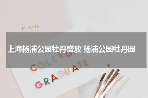 上海杨浦公园牡丹盛放 杨浦公园牡丹园