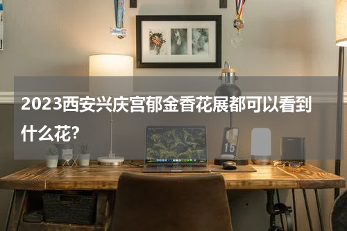 2023西安兴庆宫郁金香花展都可以看到什么花？