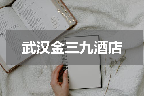 武汉金三九酒店