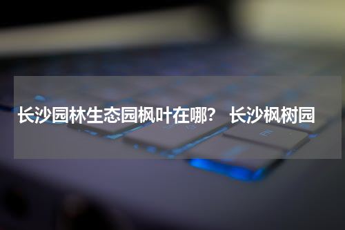 长沙园林生态园枫叶在哪？ 长沙枫树园