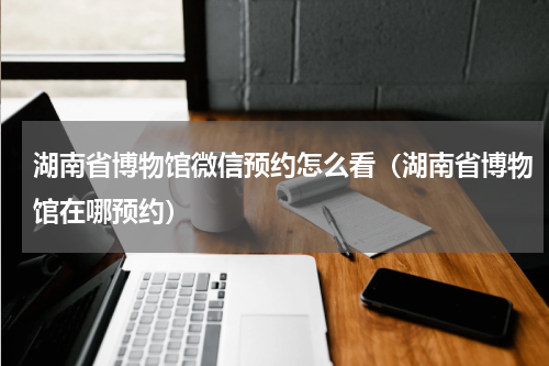 湖南省博物馆微信预约怎么看（湖南省博物馆在哪预约）