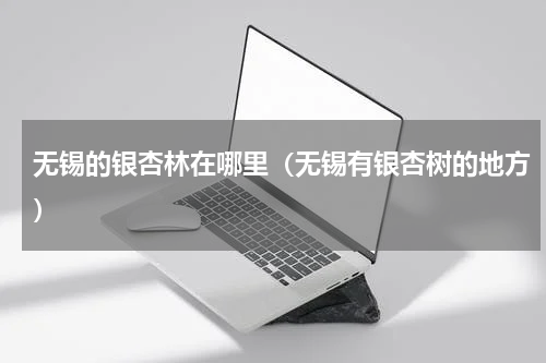 无锡的银杏林在哪里（无锡有银杏树的地方）