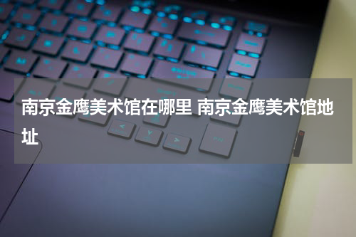 南京金鹰美术馆在哪里 南京金鹰美术馆地址