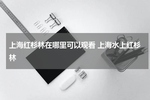 上海红杉林在哪里可以观看 上海水上红杉林
