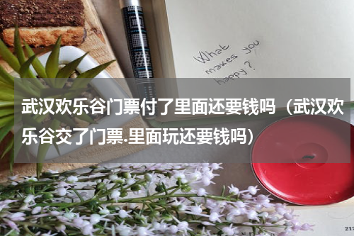 武汉欢乐谷门票付了里面还要钱吗（武汉欢乐谷交了门票.里面玩还要钱吗）